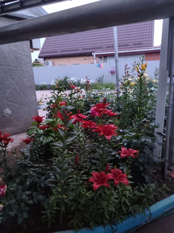 Домик на Азове