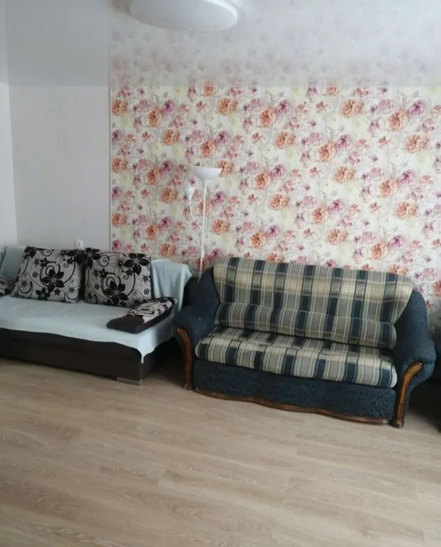 1-комнатная Квартира — аренда посуточно в Кондопога