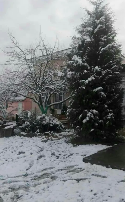 Усадьба на берегу реки