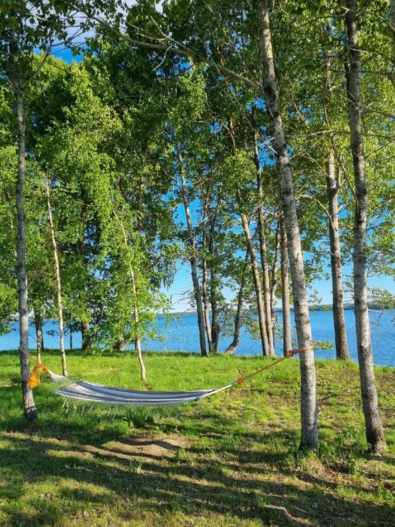 Уютный дом на берегу озера "Прозрачный берег №1"