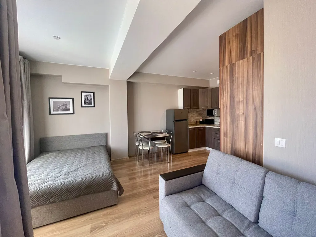 Уютная студия c великoлeпным видoм