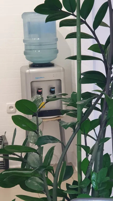 Апартаменты в центре Таганрога