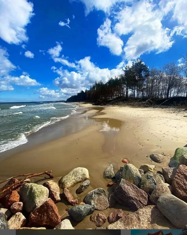 Квартира Квартира в красках моря — Зеленоградск