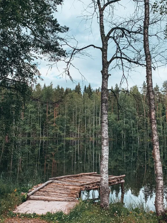 Коттедж комфорт класса с видом на лес