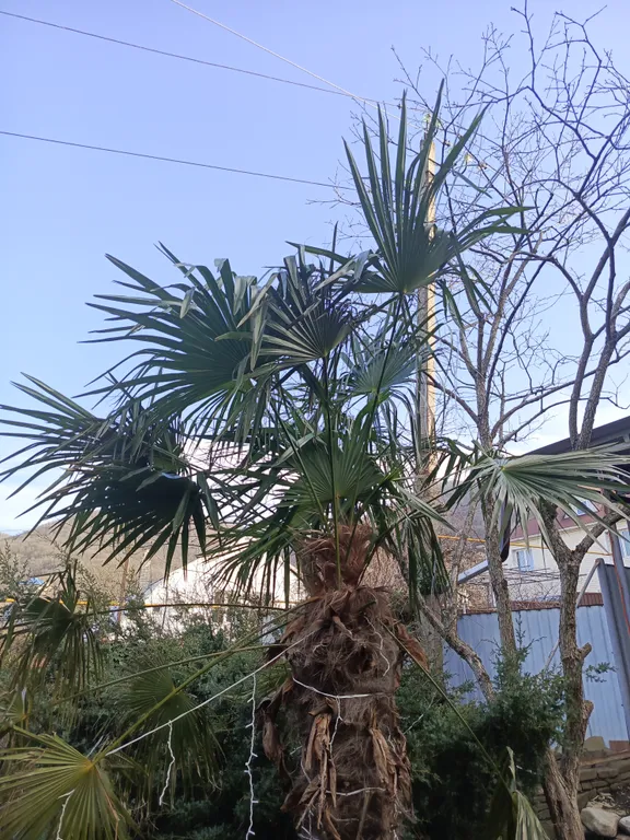 Уютная комната в частном доме