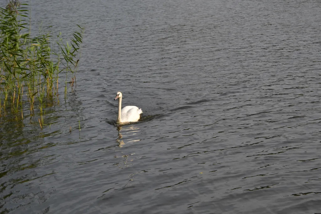 Квартира Апартаменты с большой террасой — Светлогорск