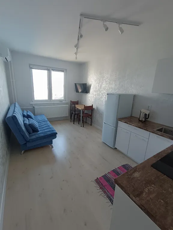 Уютная однушка (евродвушка) в центре города