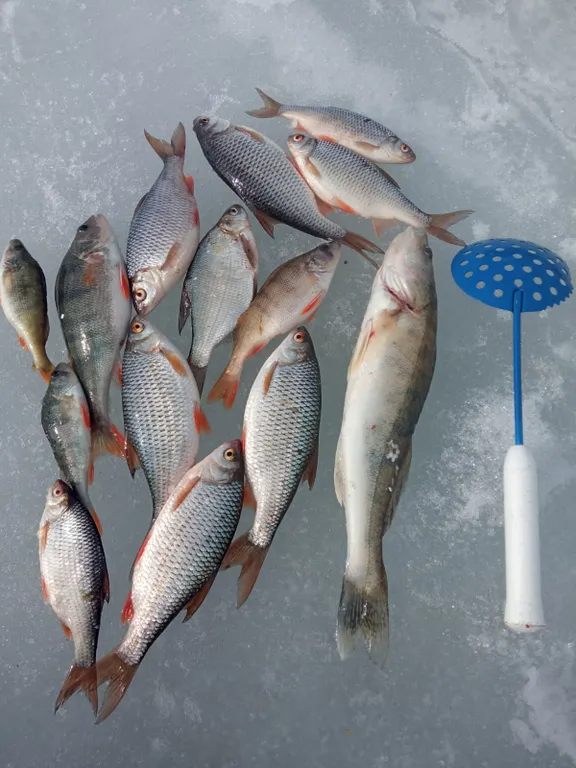 Коттедж Дом Охотник — Шаховская