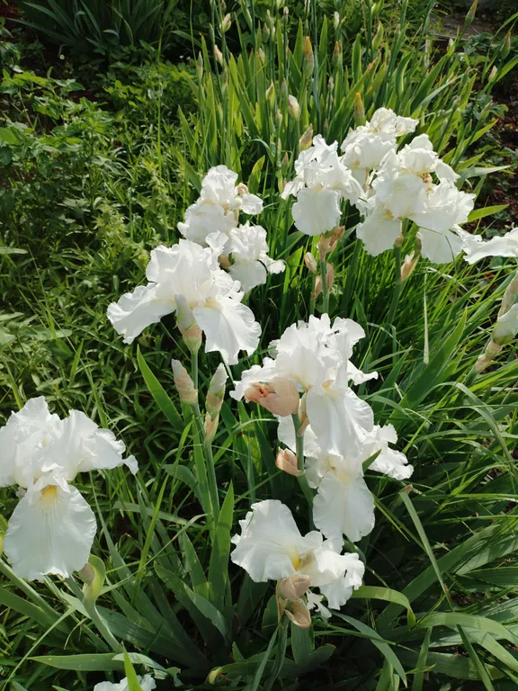 Дом у Кремля