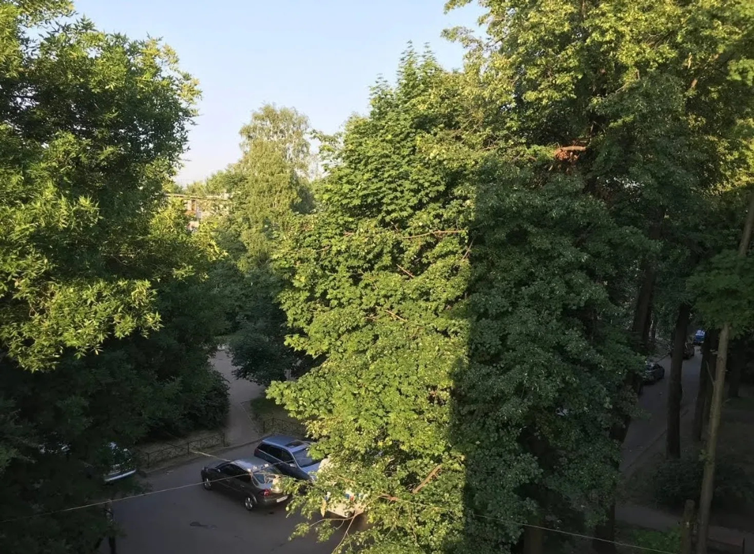 Внутренний зелёный открытый двор