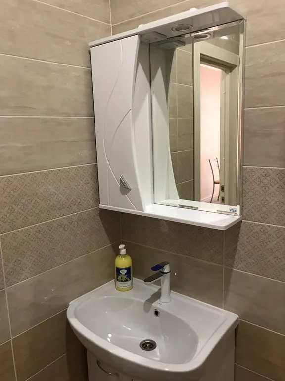 Квартира 1-комнатная Квартира — Сириус