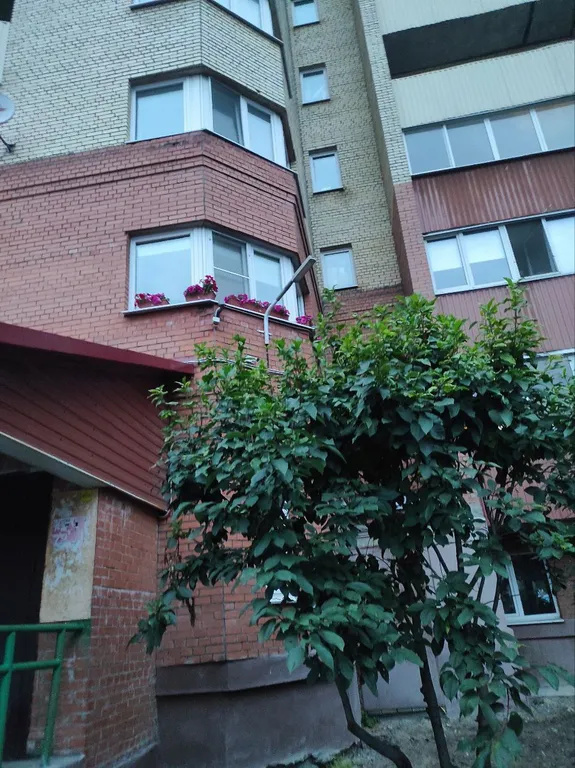 Счастливая матрешка евротрешка у глазной клиники