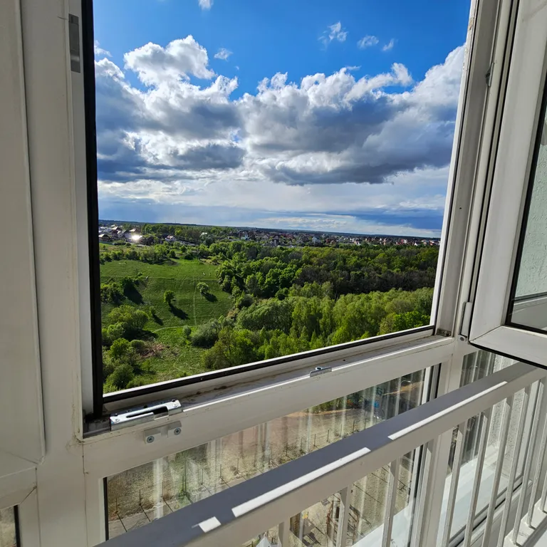 Квартира с видом на березовую рощу