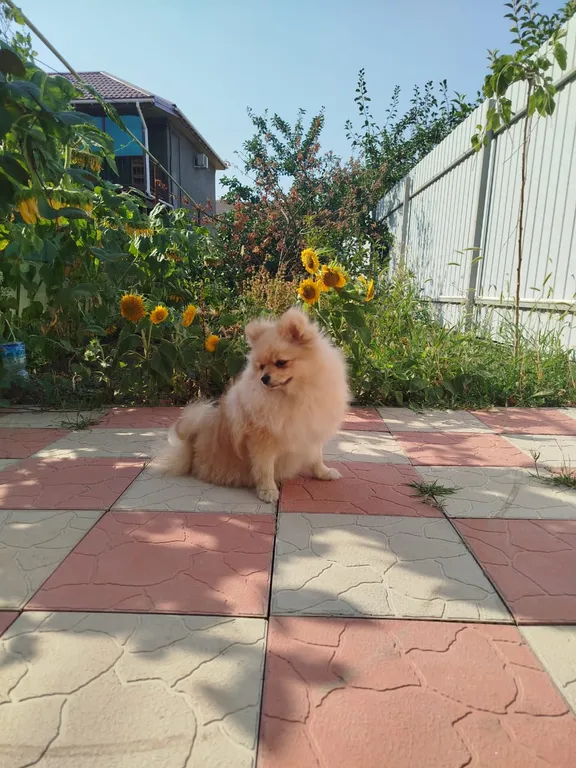 Квартира Удобная комната вблизи моря — Ейск