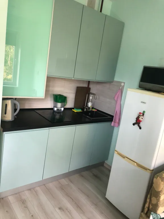 Квартира Квартира Гнёздышко у озера — Светлогорск