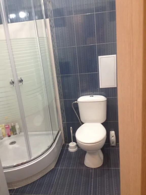 Квартира 1-комнатная Квартира — Светлогорск