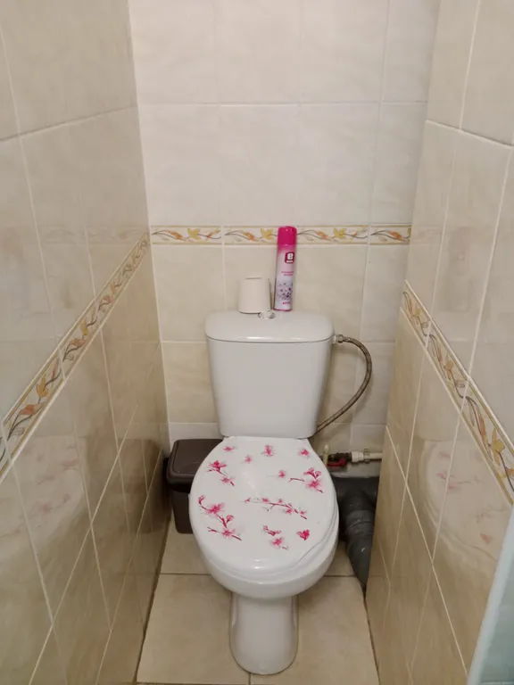 Квартира на палестине