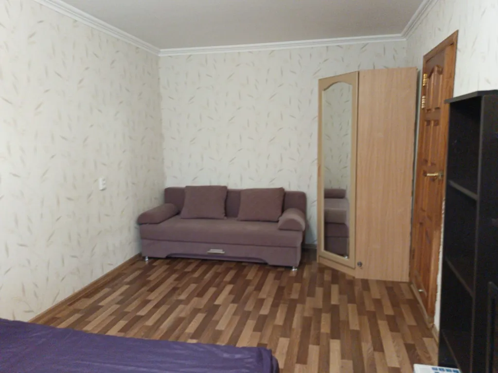 Однокомнатная квартира в центре города