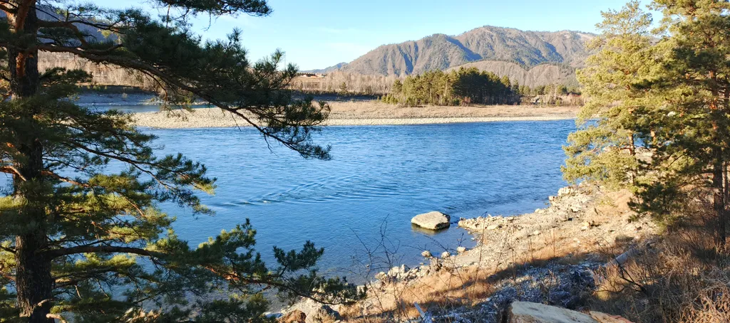 Дом в горах у реки Катунь