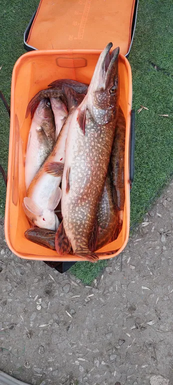 Домик для рыбалки в Астрахани