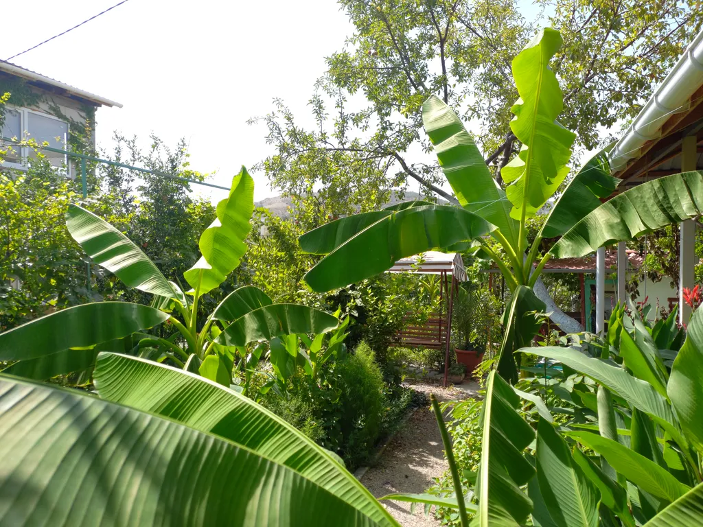 Уютный дом среди гор и моря