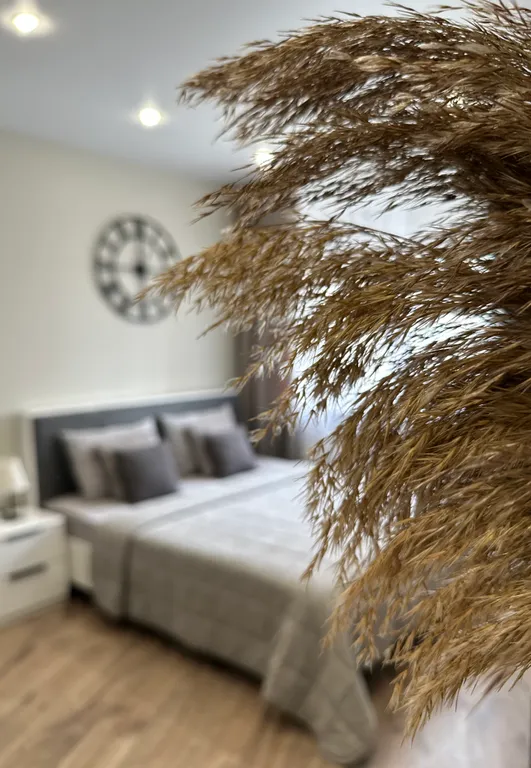 Квартира Квартира Kumparsita Home — Калининград