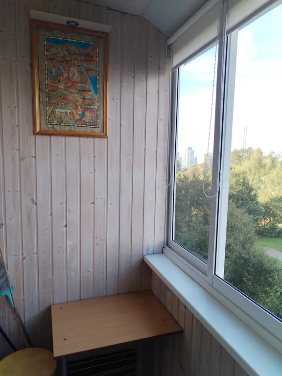 ТЦ Трио, Мега, Ледовый дворец