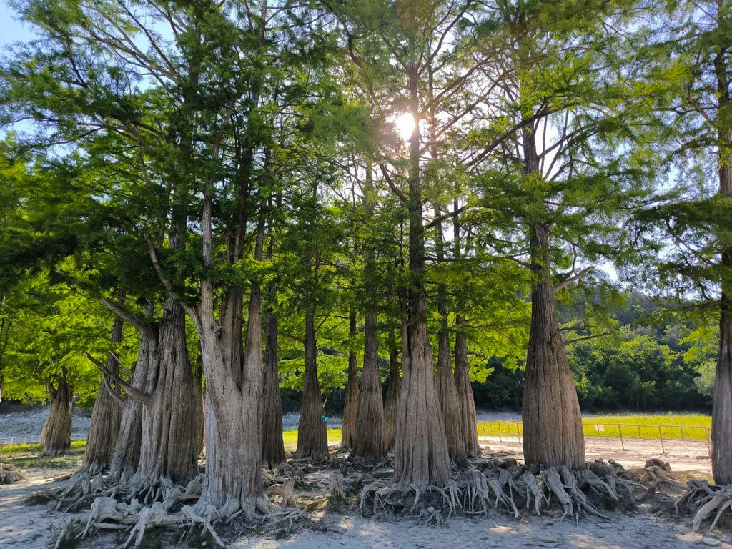 Отдых в уютном, уединенном домике на 6 сотках.