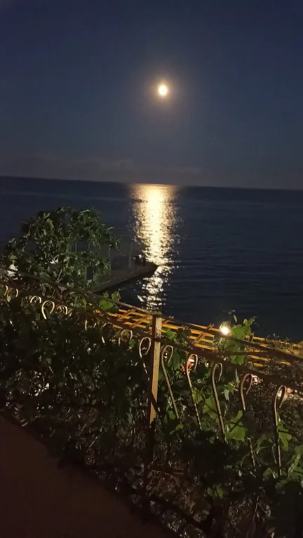 Коттедж-студия