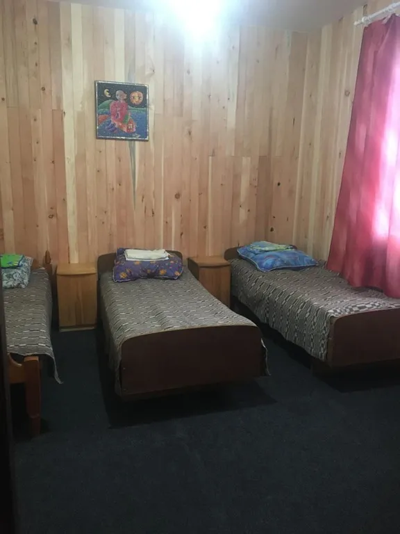 Кедровый дом на берегу реки Бия с видом на реку