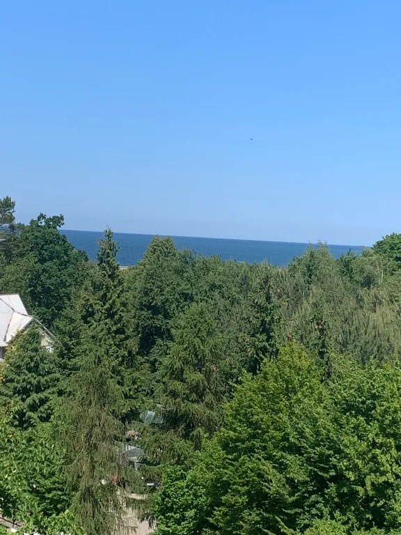 Квартира Уютная квартира с видом на море — Пионерский
