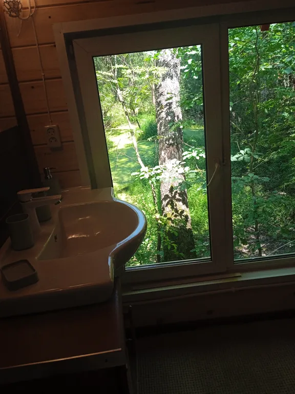 Дом с панорамным окном