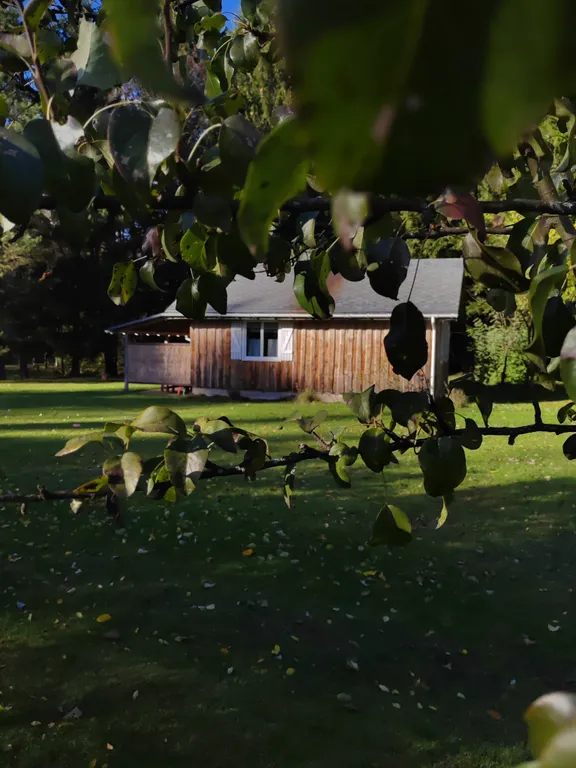 Домик у речки - мечта интроверта