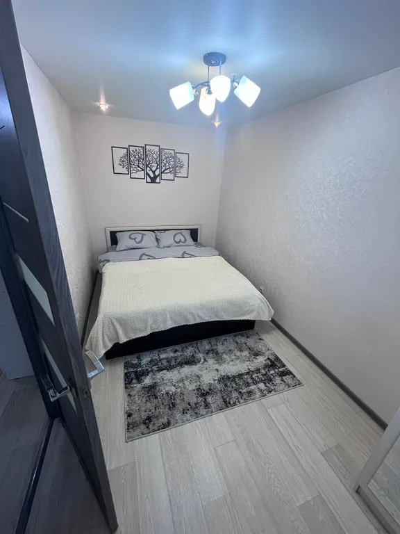 Квартира на силуэте