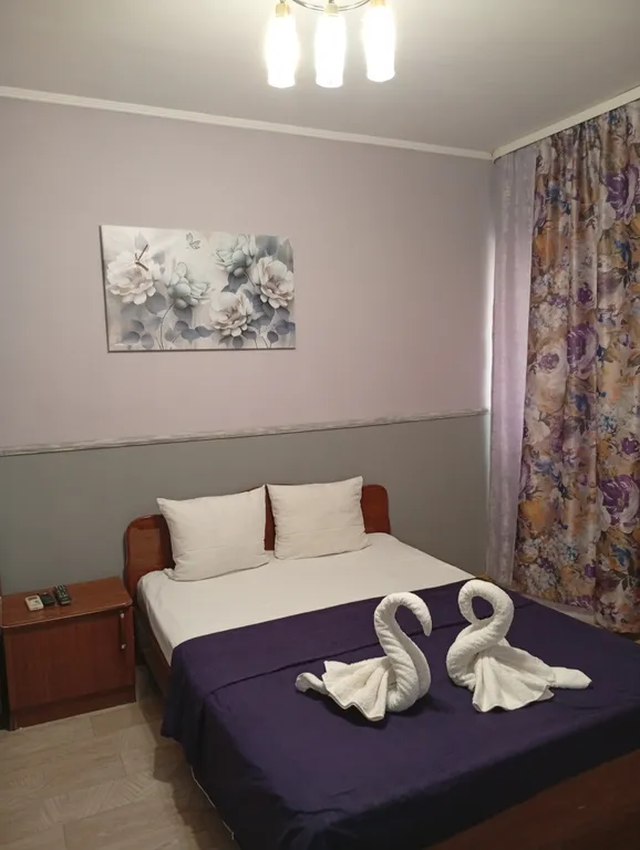 с одной двуспальной или 2 односпальными кроватями и доп спальным мест