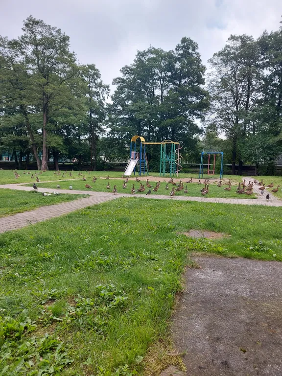 Квартира Уютная 2х комнатная квартира — Калининград