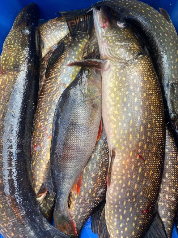 Уютный дом на берегу озера