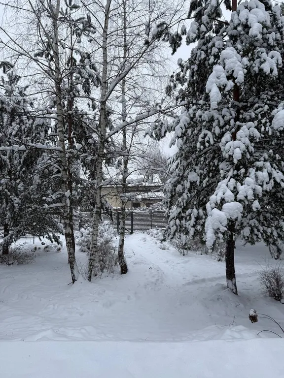 Домик в лесу