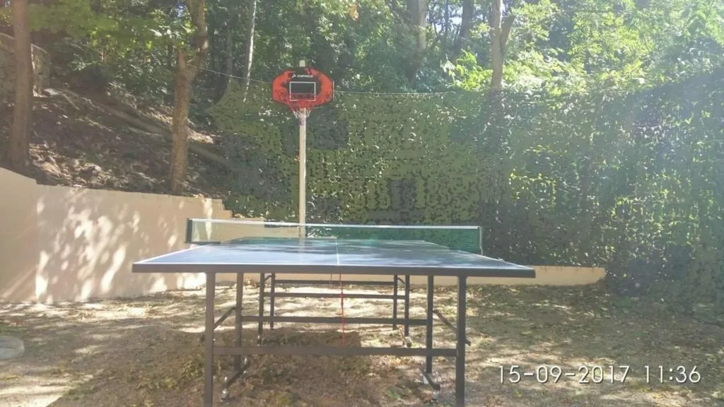 Семейная  деревянная, мансардная студия