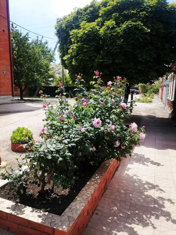 Коттедж Летний домик — Ейск