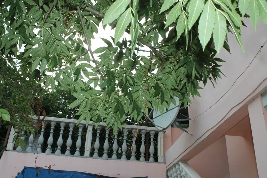 Квартира Квартира Апартамент с видом на горы — Пляхо