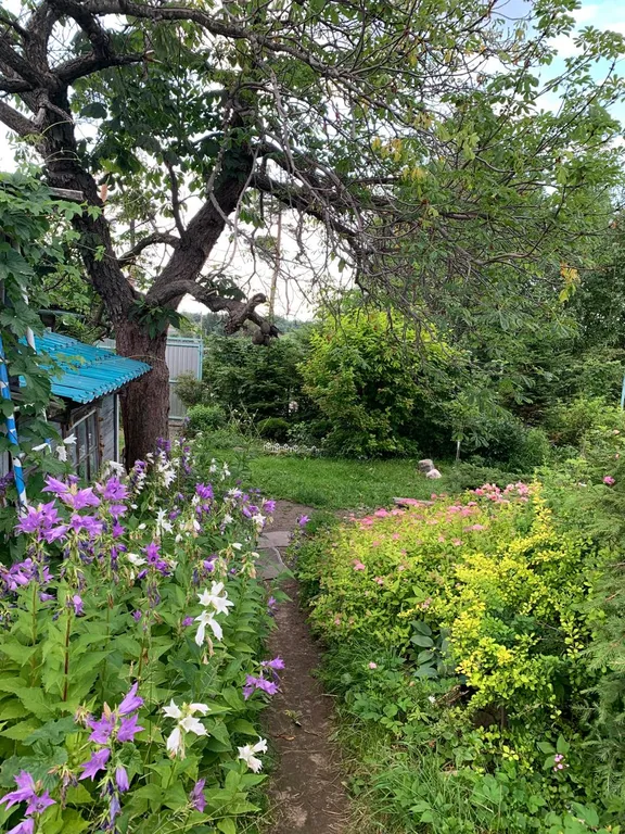 Дом в городе петрозаводске с красивым уединённым участком и баней