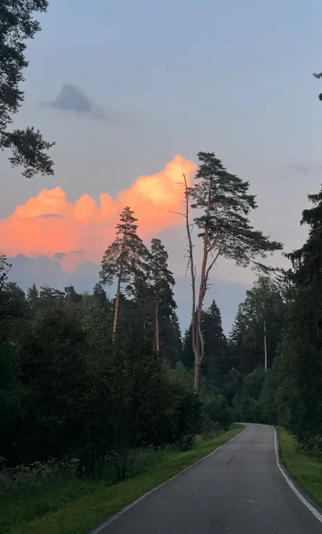 Уютный стильный новый дом с баней в окружении берёзовой рощи