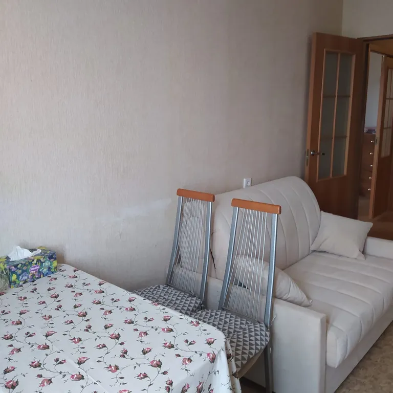 Просторная однокомнатная квартира.