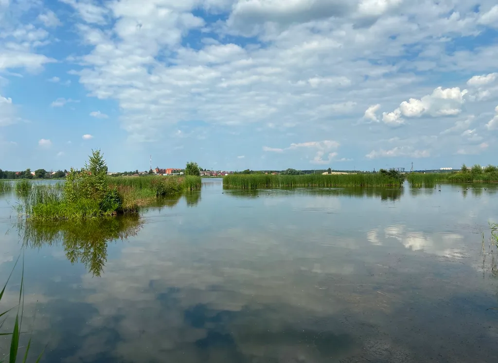 Уютная студия с новым ремонтом