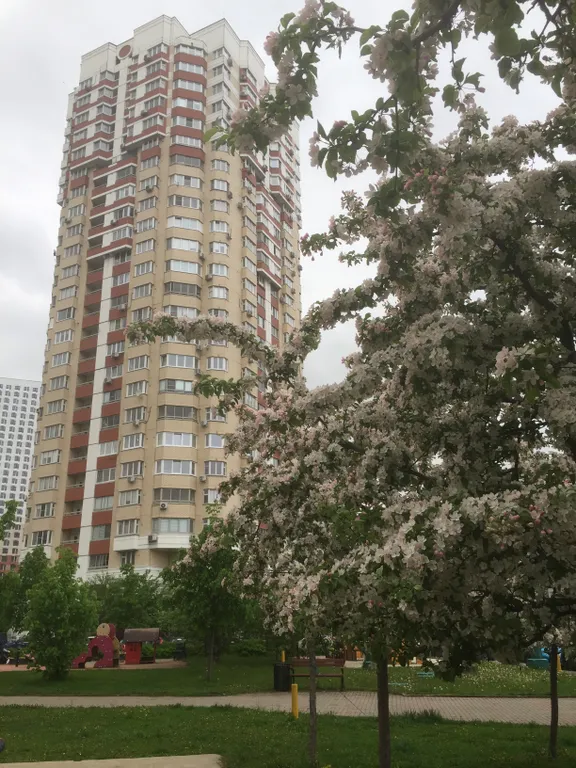 Большая и уютная квартира с кондиционером в хорошем районе
