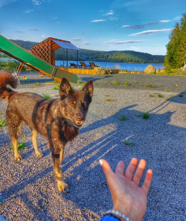 «Шале у Озера 2»