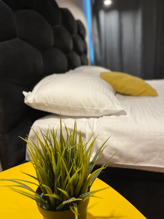 Дизайнерская Лофт-студия от Vitamia Art около леса