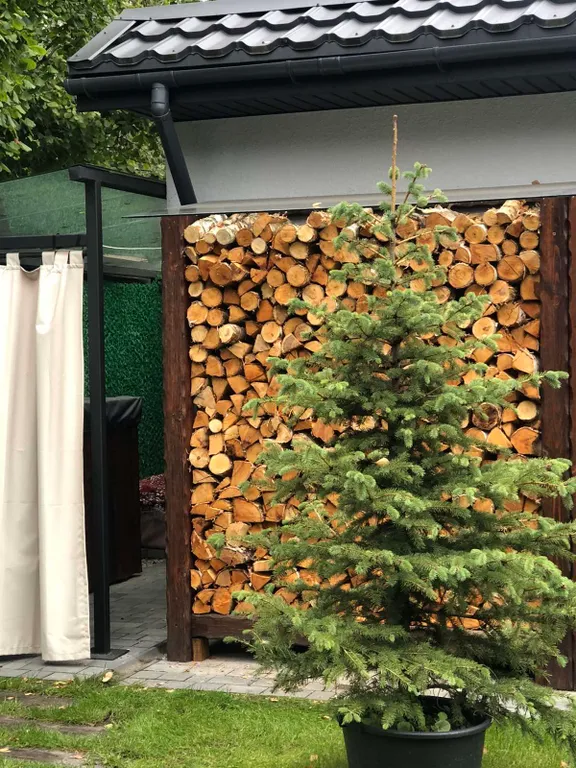 Коттедж белая береза