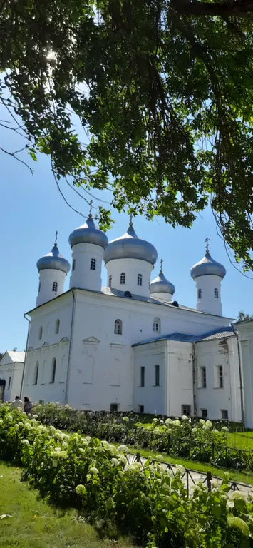 Апартамент с шикарным видом на Волхов